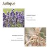 Jurlique Lavender Hydrating Floral Mist