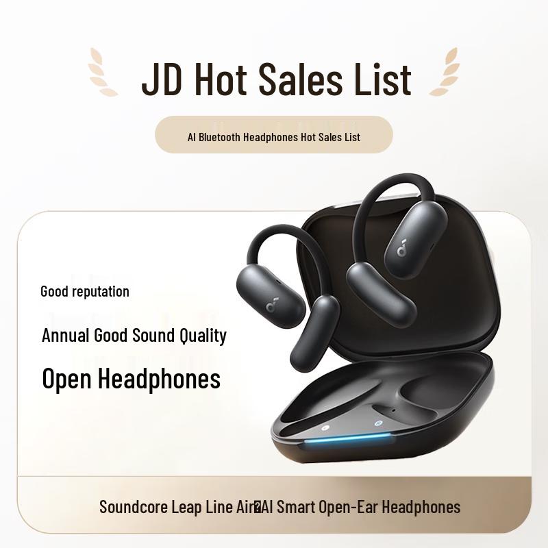 Soundcore Fly Leap Air Ear-hook Headphones