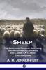 Книга Sheep : The Breeding, Feeding, Shearing and Management of Ewes and Lambs - A Classic English Guide