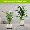 Movable Plant Pot Trolley 4 Wheels Rolling Base Trays Plant Stand Household Garden Wooden Moving Flowerpot Base
