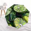 1pc Lime Slices Automatic Open/Close Umbrella with One-Touch Button, Compact Folding Canopy, Sturdy 8-Rib Windproof Design -026