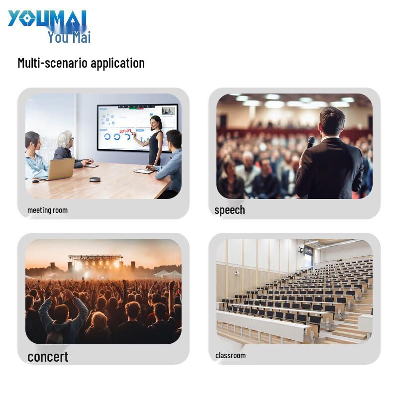 Youmai Dual Wireless Handheld Microphone System (CN version)
