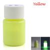 20g Cool Party DIY Craft Glow In The Dark Luminous Paint Pigment Acrylic