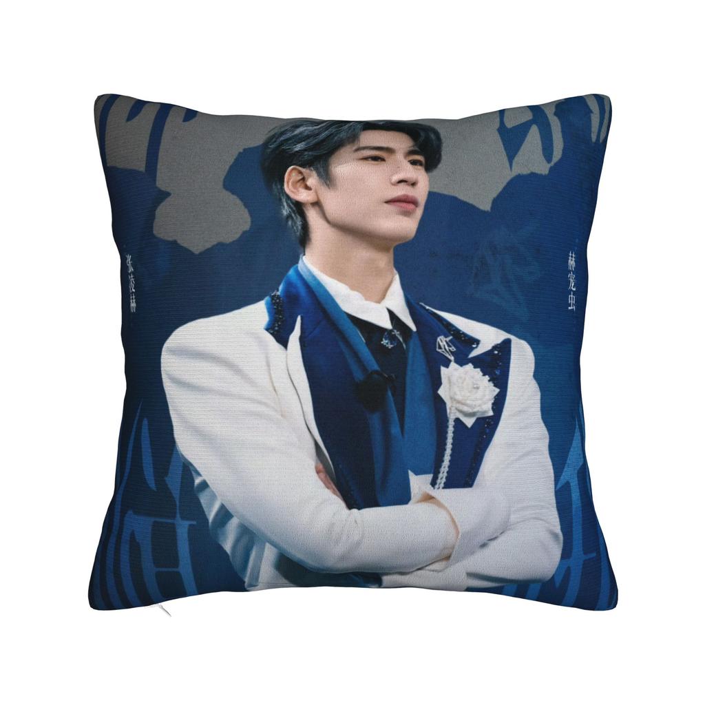 Zhang Linghe Pillowcases Kawaii Pillow Case For Living Room Sofa Custom Pillow Cover
