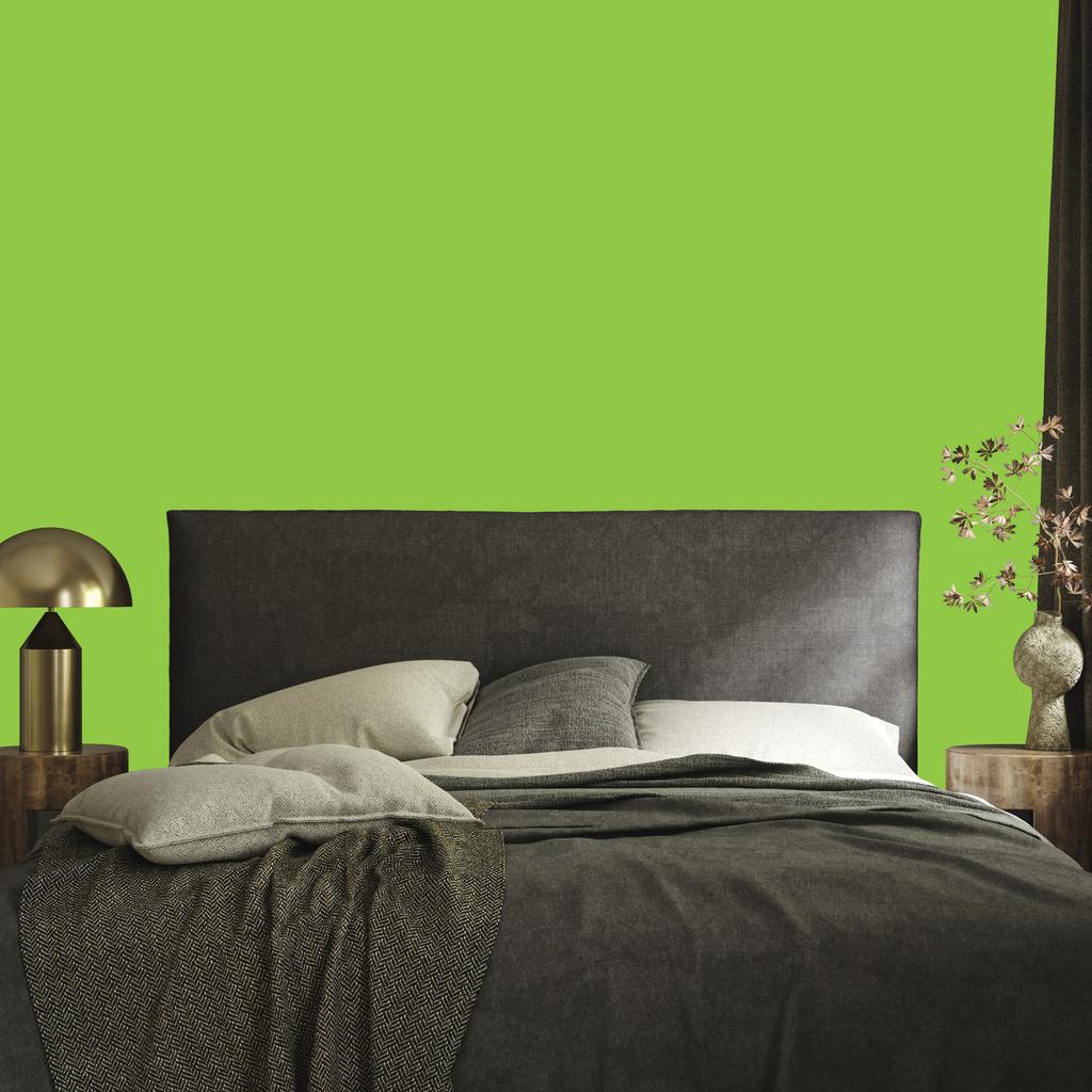 Wallpaper Solid Lime Backgrounds, Lime Background for Living Room and Bedroom 50x1000