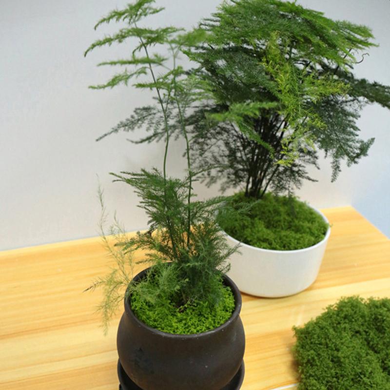 100 г искусственные растения домашний декор имитация мха газон биомиметический искусственный мох сад микро ландшафтный дизайн украшения газон бонсай