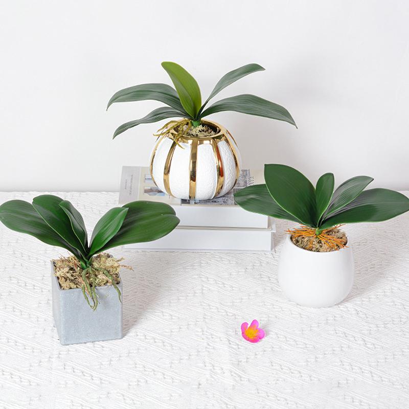 Листья орхидеи Искусственные стебли фаленопсиса Лист Искусственный цветок цимбидиума Листва Зеленый Real Touch Латекс оптом Домашний декор