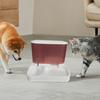 Кормушка для кошек и диспенсер для воды, комплект без электричества, автоматическая кормушка большой емкости для маленьких и средних собак, домашних животных, щенков и котят