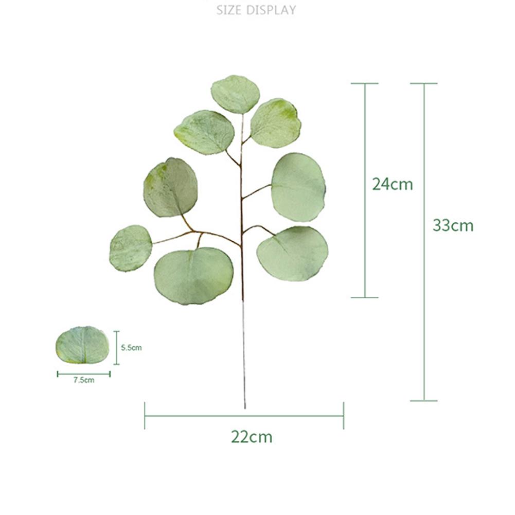 Simulation Eucalyptus Colored Leaves Photo Shoot Photography Background Props Tabletop Home Decor