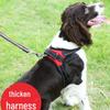 Жилет-шлейка и поводок для маленьких и средних собак - Корги, Лабрадор Аксессуар для питомца