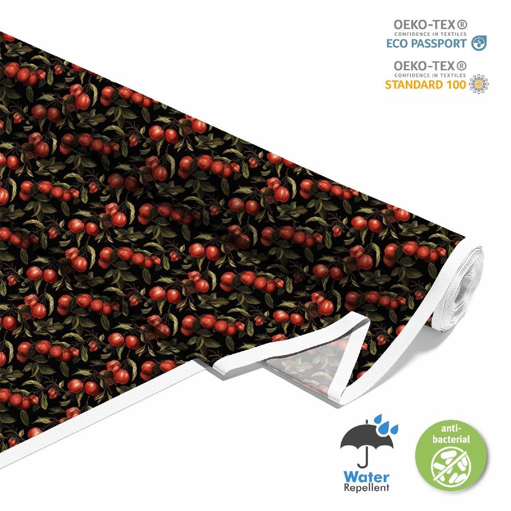 Outdoor Dekostoffe Oxford - Motiv Obst | Dx6801