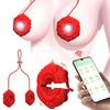 Rose Breast Clamp Vibrator 9 Vibration Modes Wired To Prevent Falling Breast Clamp Adult Products Suitable for Female Sex Toys