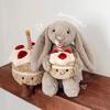 Hug Cake Rabbit Doll Lop Ear Rabbit Plush Toy Birthday Cake Rabbit Doll Birthday Gift Female