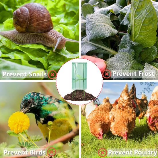 Защита от заморозков Клетка для растений Вентилируемая защита растений от животных Быстрая установка Садовые клоши для кустов голубики Клубника Овощи Цветы Фрукты