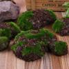 6pcs/Pack Green Moss Stone Artificial Grass Wood Fake Rock Blocks Simulation Stones Mini Garden Decoration Garden Landscape