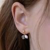 (925 Silver) Pearl and Crystal Stud Earrings EC3271