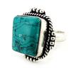 [N0291] - Turquoise 'Mineralia' Designer Ring