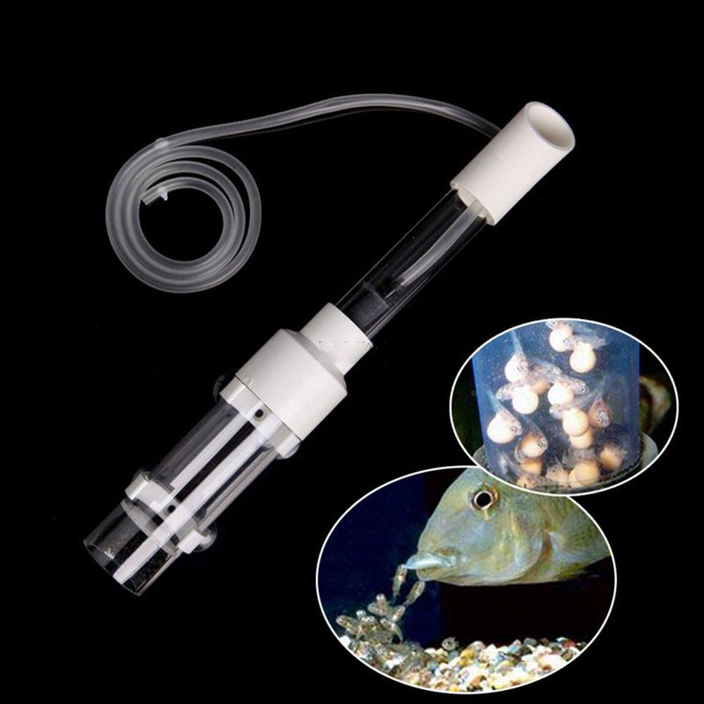 Принадлежности для аквариума Инкубатор для икры цихлид Аквариумный инкубатор для рыбок Инкубатор для икры Инкубатор для рыбок