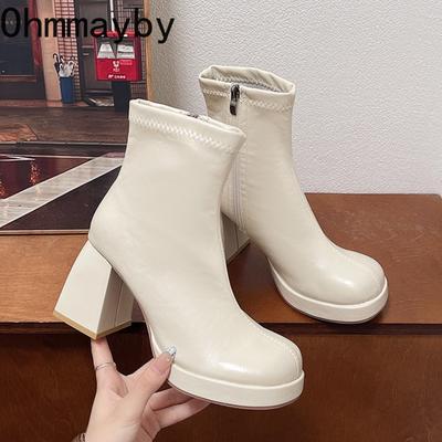 Зимние ботильоны на платформе и толстом каблуке, женские, модные, с круглым носком, на молнии, женские, современные, короткие