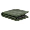 Мини-кошелек с двумя отделениями из натуральной кожи Oyster Limited Color 720624 Складной кошелек с двумя отделениями из овчины, зеленый [Takeo Kikuchi] для мужчин