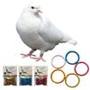 100PCS/Set Pigeon Foot Rings Chick Bird Foot Bands Aluminum Identify Leg Rings for Quails Pigeons Clip Rings Bird Appliances