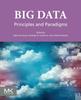 Книга Big Data : Principles and Paradigms