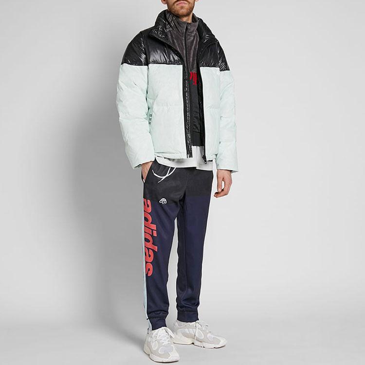 adidas Originals x Alexander Wang прозрачный износостойкий пуховик с цветными блоками, мужская верхняя одежда, мятно-зеленый DT9504