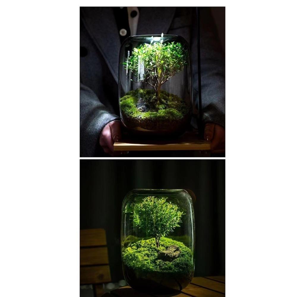 Террариумный контейнер, стеклянная ваза для микроландшафта, цветочные горшки, ваза для гидропонных растений, цветочная бутылка