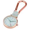 Fieldwork Pocket Watch Carabiner Watch Analog Furka Tulip Green GY050P-1 Women's