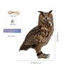 Hanging Owl Bird Repellent Wind Chime - Orchard Scarecrow Outdoor Decoration Ornament