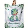 Custom Name Cute Cartoon Dinosaur Eucalyptus Print Flannel Throw Blanket Personalized Soft Blanket for Baby Nursery Boys Gift