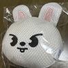 [USED] Stray Kids Sauna Rabbit Mascot Sponge