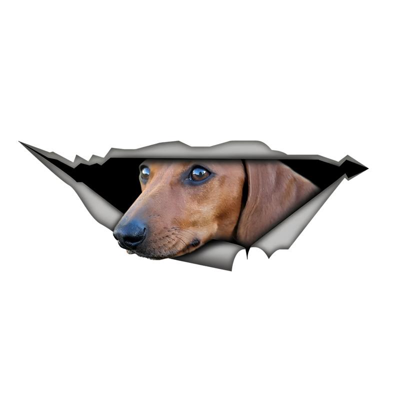 Tan Dachshund Car Stickers Scratch Blocking Self-Adhesive Waterproof Decal, Used for Car, Laptop, Motorcycle, Van, RV