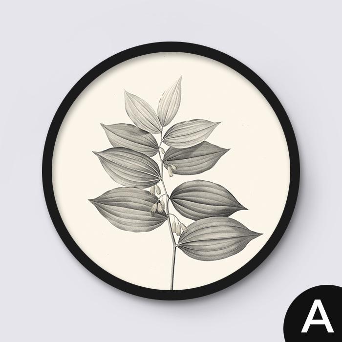 Скандинавская картина на холсте, черно-белое растение, круглый декоративный постер, простой современный подвесной и ресторан, скандинавское настенное искусство