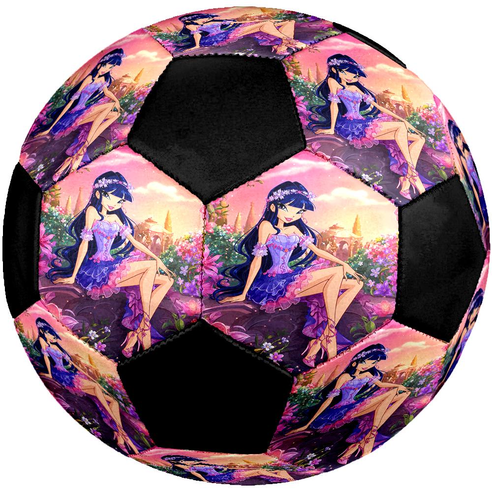 Winx Club Theme Size 5 Soccer Ball, Suitable for Both Indoor and Outdoor Matches, a Gift Suitable for Everyone.