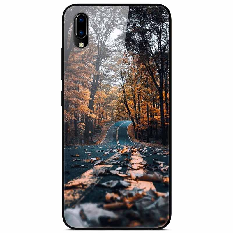 Для vivo V17 Чехлы V17 Pro Закаленное Стекло Жесткая Задняя Крышка Для Vivo V15 Pro Чехол Для Телефона Coque Для Vivo X50 Pro Lite Чехол X 50Lite