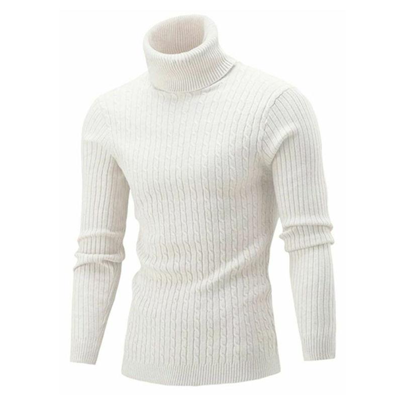 Men Slim Fit Twisted Pattern Turtleneck Knit Sweater For Autumn Winter