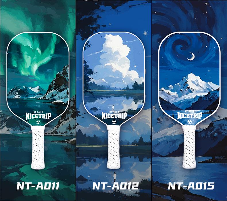 Professional Fiberglass Pickleball Paddle Set for Children and Adults