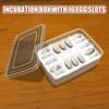 16 Grids Reptile Hatch Box with Thermometer Reptile Breeding Hatchery  Incubator Supplies