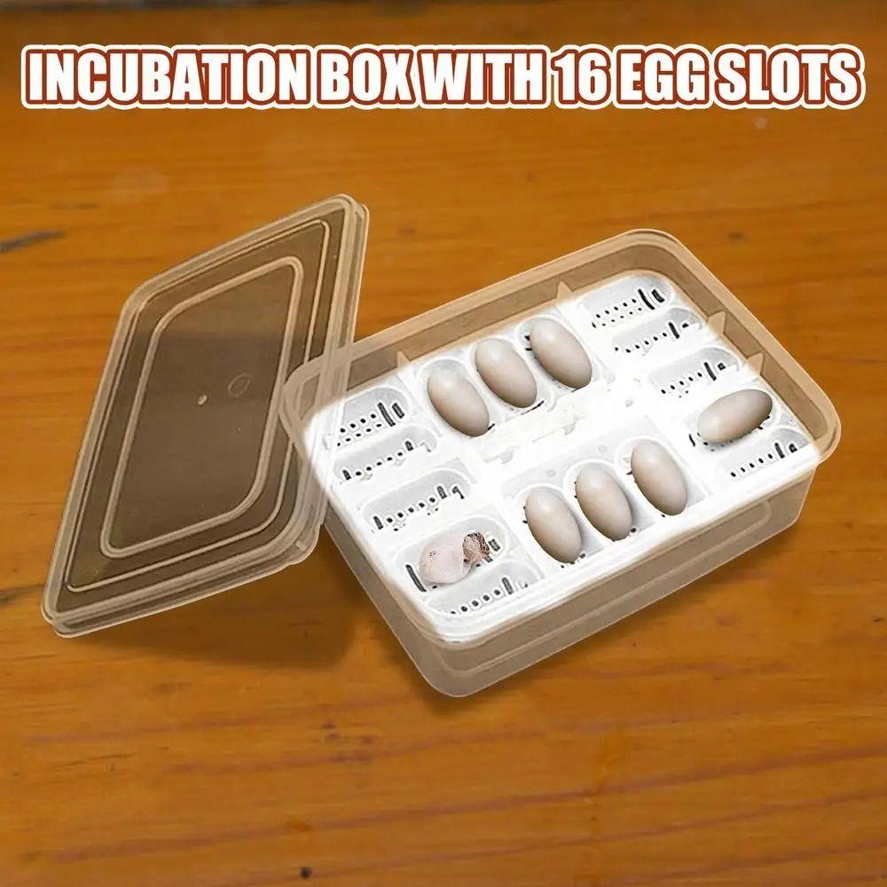 16 Grids Reptile Hatch Box with Thermometer Reptile Breeding Hatchery  Incubator Supplies