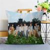 Boy Band N-Nct Wish Singer Pillow Cover Design Cushion Cover Decor Holiday Decorati