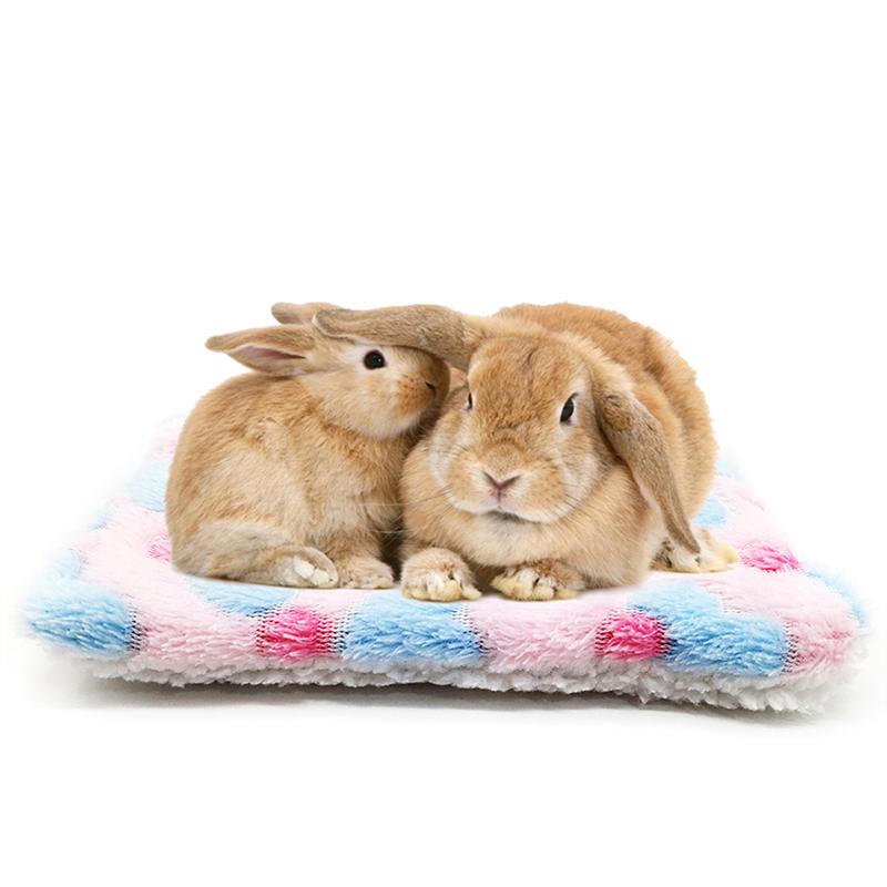 Маленькое животное, морская свинка, хомяк, кровать, белка, еж, кролик, шиншилла, коврик, гнездо