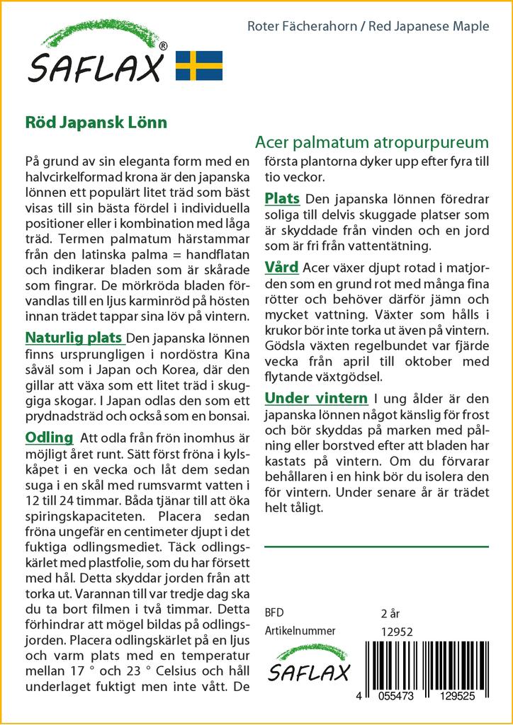 SAFLAX Клен японский красный - 20 семян - Acer palmatum