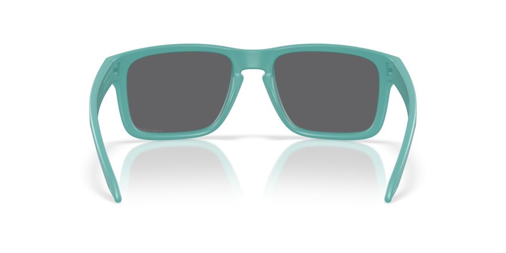 Oakley Солнцезащитные очки 0OO9102 HOLBROOK PRIZM BLACK 9102AF55 Матовые Тихоокеанские Поляризационные [Oakley]