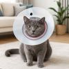 Breathable Pet Protective Collar Adjustable Anti-Bite Collar Recovery Cone Collar  Animal Care