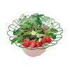 Клубничная колыбель Многоразовая поддержка для клубники Решетка Вставка для кашпо Держатель для клубники Предотвращает гниение от земли Подарок для садоводов-любителей