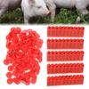 Pig Cattle and Sheep Ear Tag Farm Animal Indentification Card Goat Ear Label 100 PackRed