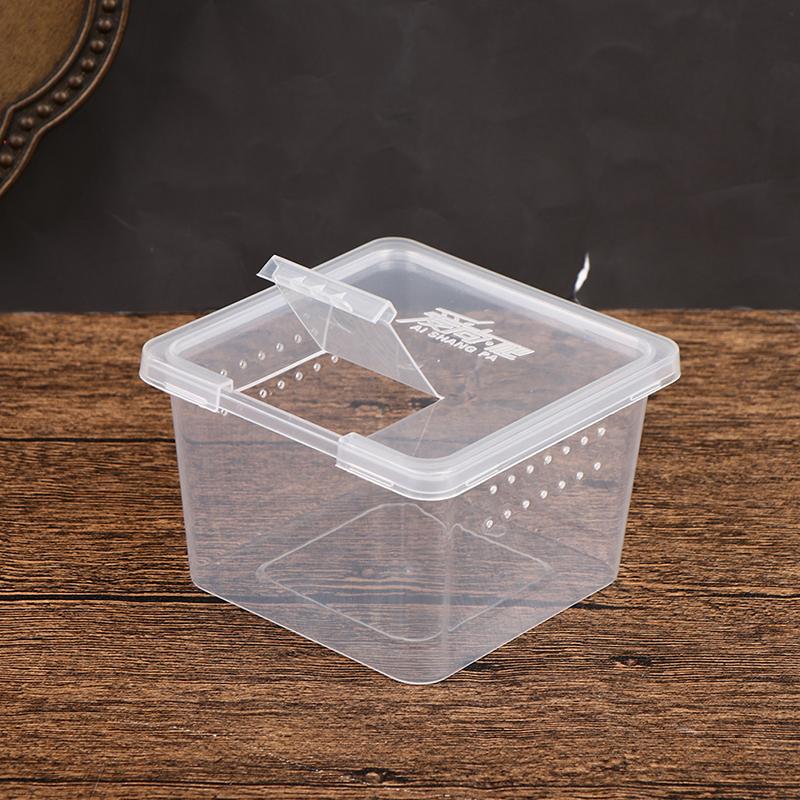 Reptile Box Mantis Jumping Spider Silkworm Rearing Box Reptile Rearing Box