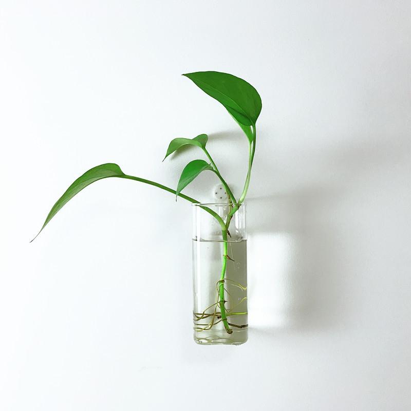 Wall Hanging Hydroponic Green Flower Vase Square Column Shaped Column Transparent Glass Modern Home Decoration Room Decoration