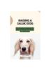 Книга Raising a Saluki Dog : The Complete Handbook On How To Raising And Caring For Saluki Dog